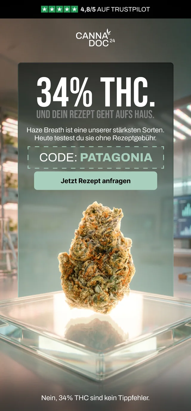E-Mail von Ecom Mails für cannadoc patagonia